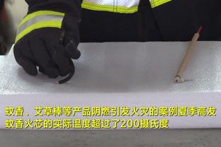 半岛官网赞助多特蒙德0截图3